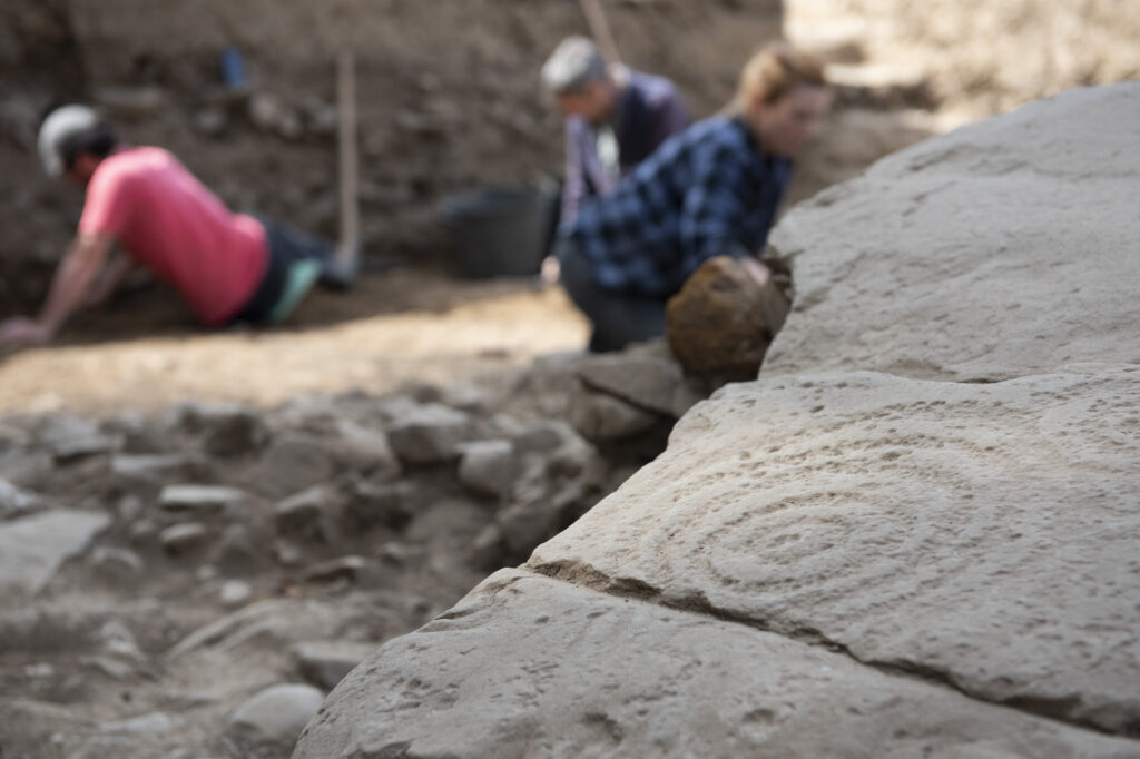 Rock art discovered in Dowth Hall, County Meath