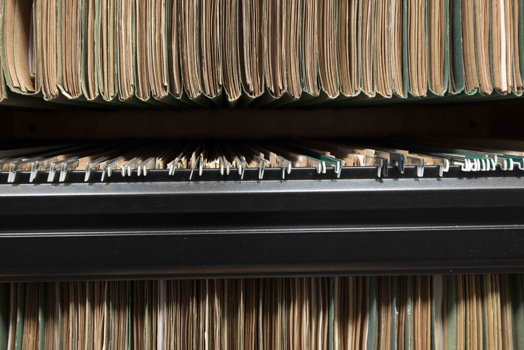 A number of files organised in a suspension filing system