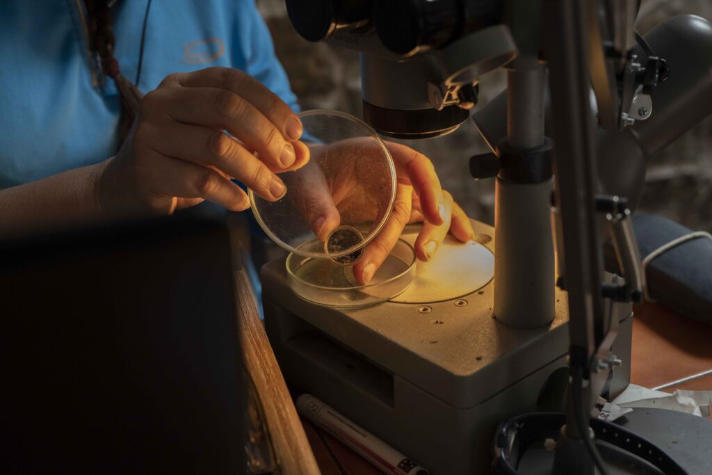 A person recording an archaeological find